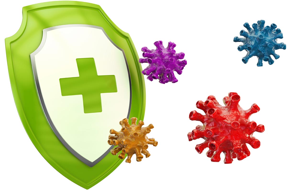 Immune Support