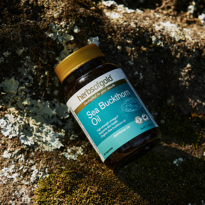 Herbs of Gold Seabuckthorn Oil  60 capsules