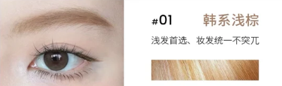 CENSTO Eyebrow Tinting Gel 4g
