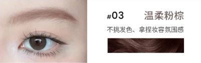 CENSTO Eyebrow Tinting Gel 4g
